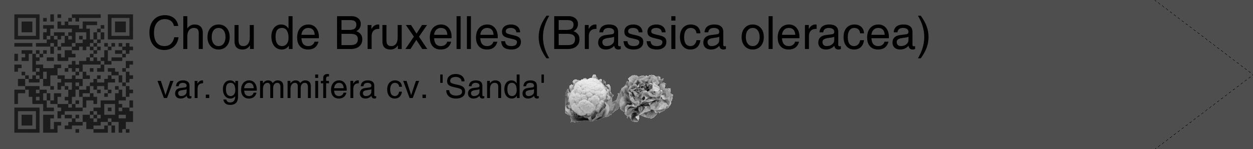 Étiquette de : Brassica oleracea var. gemmifera cv. 'Sanda' - format c - style noire33_simple_simplehel avec qrcode et comestibilité simplifiée