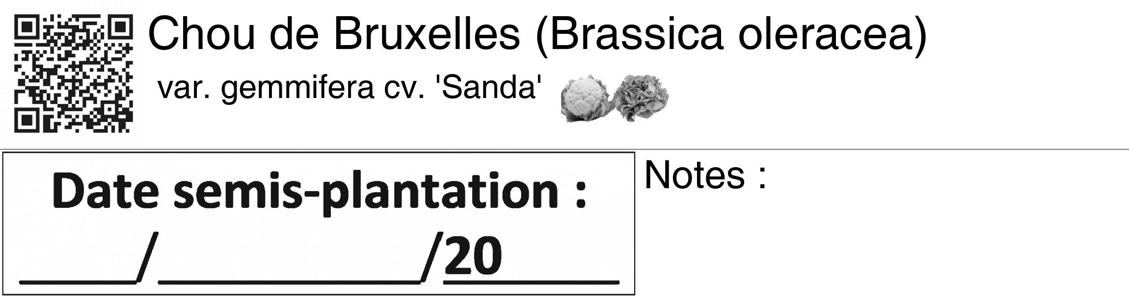 Étiquette de : Brassica oleracea var. gemmifera cv. 'Sanda' - format c - style noire60_basiquegrrvhel avec qrcode et comestibilité simplifiée