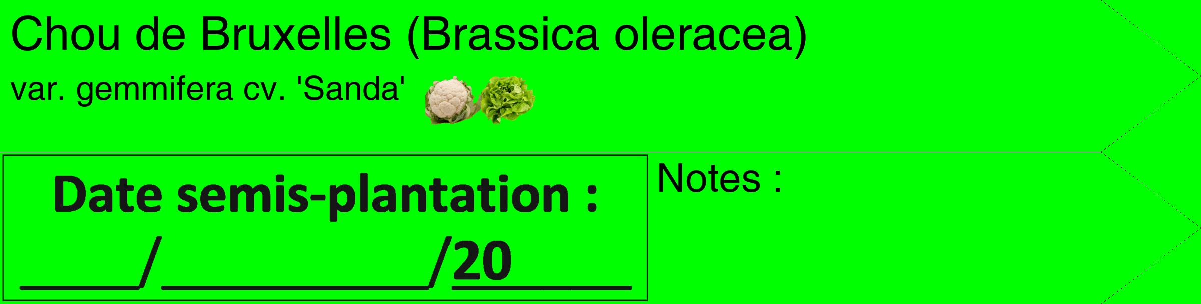 Étiquette de : Brassica oleracea var. gemmifera cv. 'Sanda' - format c - style noire16_simple_simplehel avec comestibilité simplifiée