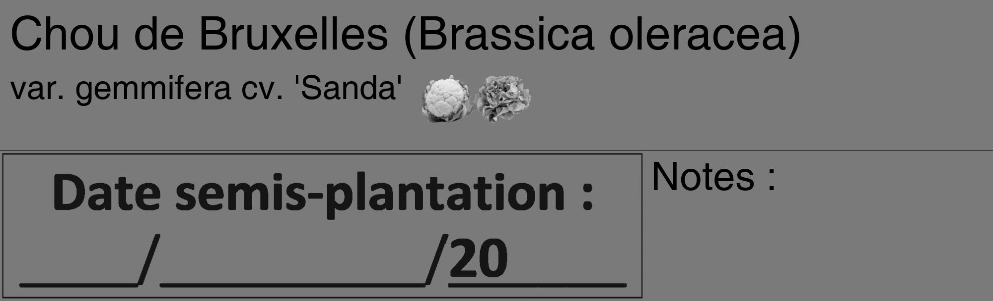 Étiquette de : Brassica oleracea var. gemmifera cv. 'Sanda' - format c - style noire3_basique_basiquehel avec comestibilité simplifiée