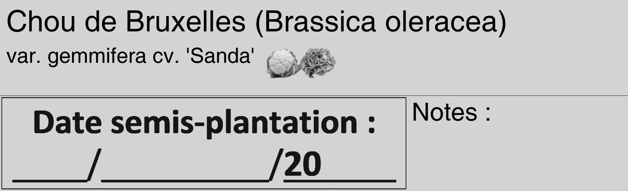 Étiquette de : Brassica oleracea var. gemmifera cv. 'Sanda' - format c - style noire56_basique_basiquehel avec comestibilité simplifiée
