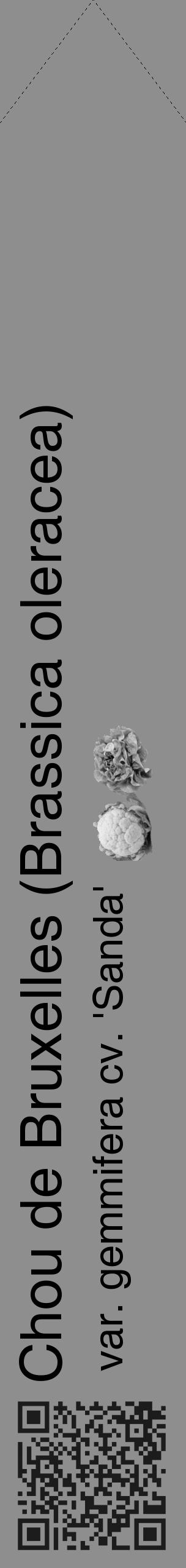 Étiquette de : Brassica oleracea var. gemmifera cv. 'Sanda' - format c - style noire25_simple_simplehel avec qrcode et comestibilité simplifiée - position verticale