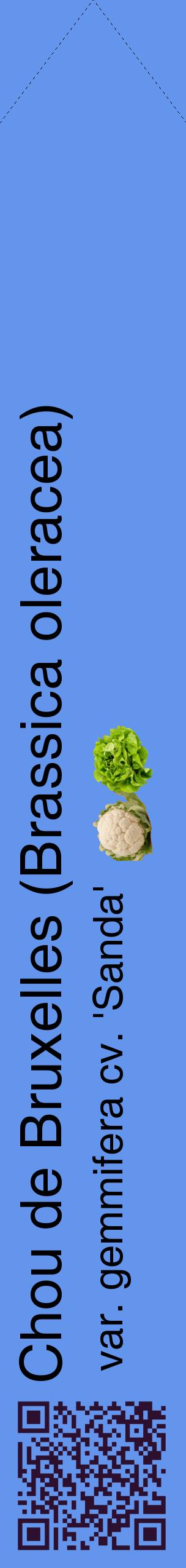 Étiquette de : Brassica oleracea var. gemmifera cv. 'Sanda' - format c - style noire4_simplehel avec qrcode et comestibilité simplifiée