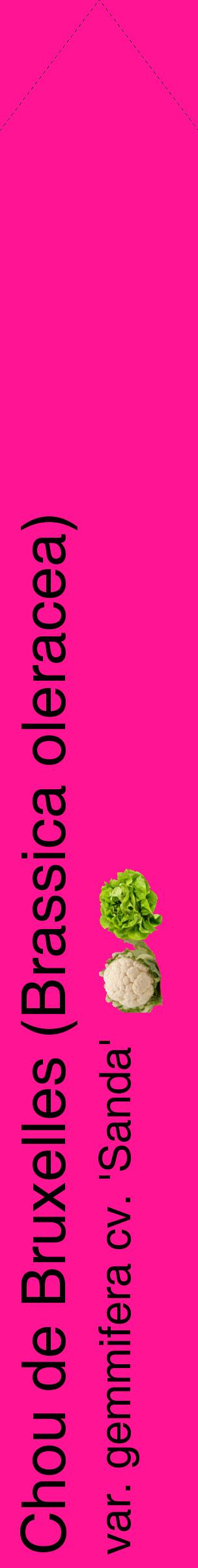 Étiquette de : Brassica oleracea var. gemmifera cv. 'Sanda' - format c - style noire43_simplehel avec comestibilité simplifiée