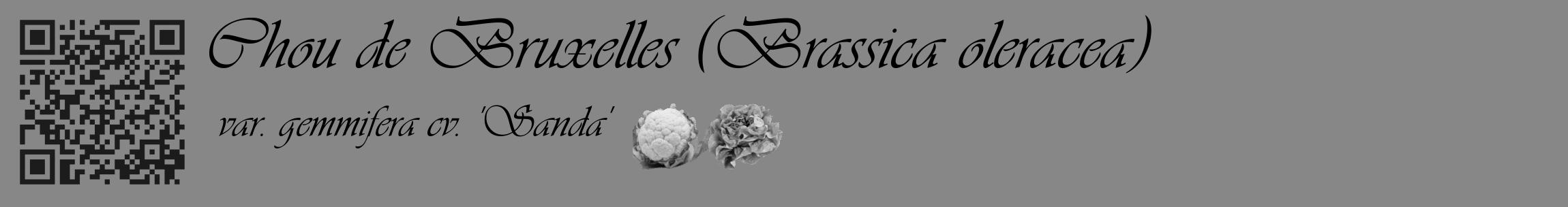 Étiquette de : Brassica oleracea var. gemmifera cv. 'Sanda' - format c - style noire12_basique_basiqueviv avec qrcode et comestibilité simplifiée