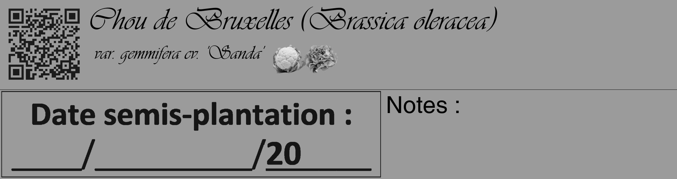 Étiquette de : Brassica oleracea var. gemmifera cv. 'Sanda' - format c - style noire52_basique_basiqueviv avec qrcode et comestibilité simplifiée