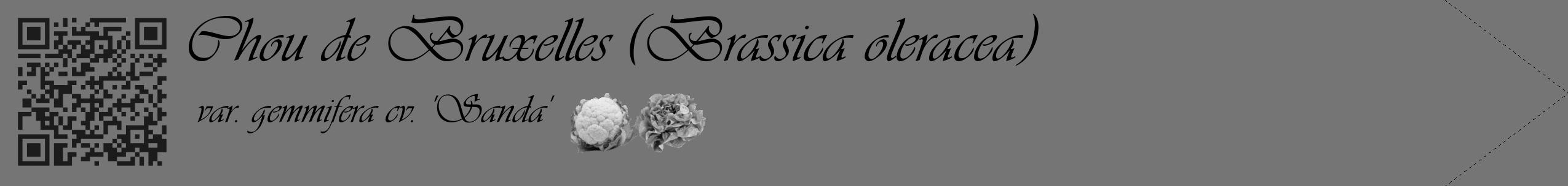 Étiquette de : Brassica oleracea var. gemmifera cv. 'Sanda' - format c - style noire5_simple_simpleviv avec qrcode et comestibilité simplifiée