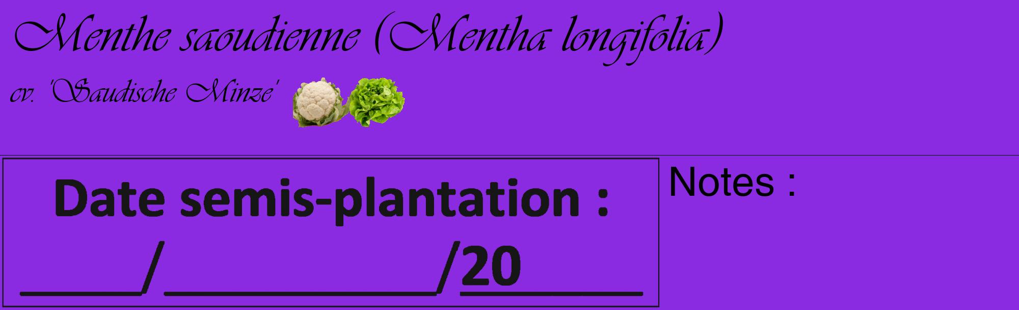 Étiquette de : Mentha longifolia cv. 'Saudische Minze' - format c - style noire49_basique_basiqueviv avec comestibilité simplifiée