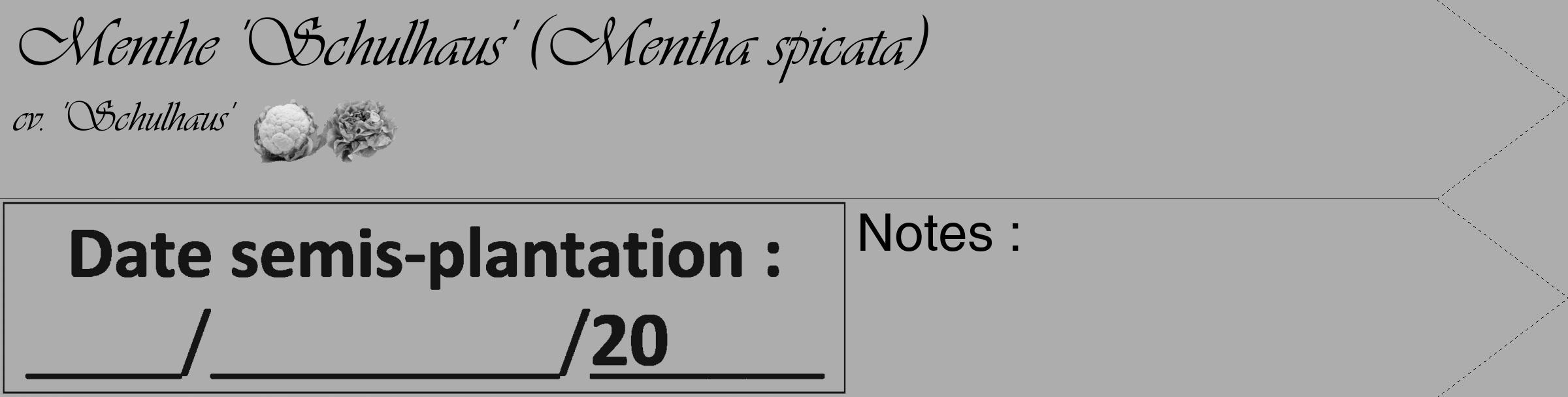 Étiquette de : Mentha spicata cv. 'Schulhaus' - format c - style noire22simple_basique_basiqueviv avec comestibilité simplifiée
