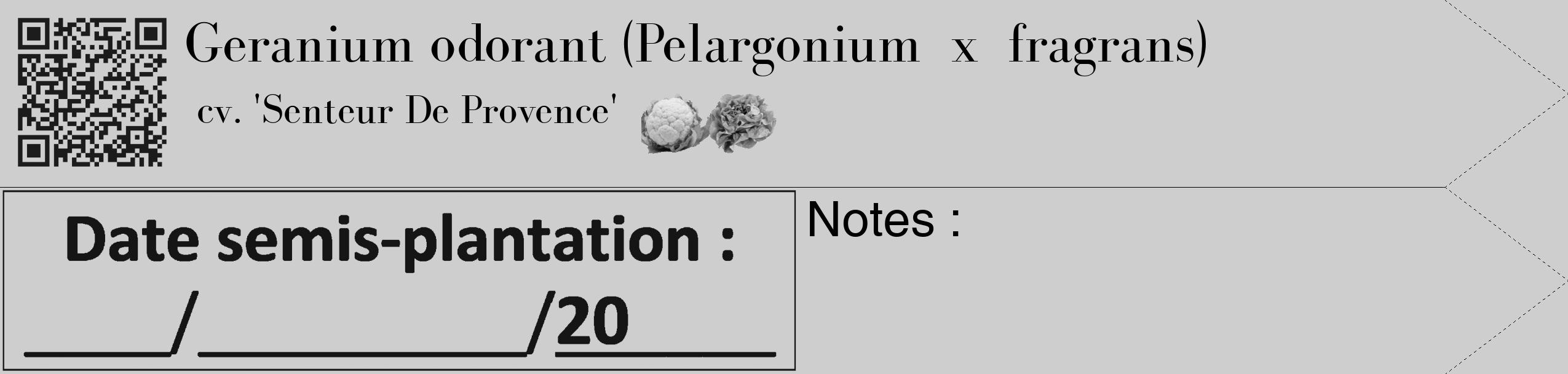 Étiquette de : Pelargonium x fragrans cv. 'Senteur De Provence' - format c - style noire17_simple_simplebod avec qrcode et comestibilité simplifiée