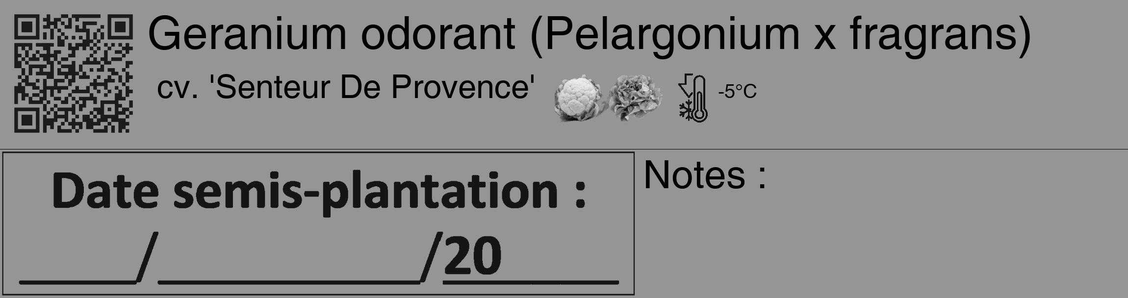 Étiquette de : Pelargonium x fragrans cv. 'Senteur De Provence' - format c - style noire16_basique_basiquehel avec qrcode et comestibilité simplifiée