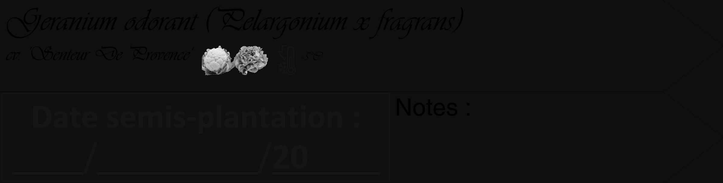 Étiquette de : Pelargonium x fragrans cv. 'Senteur De Provence' - format c - style noire7_simple_simpleviv avec comestibilité simplifiée
