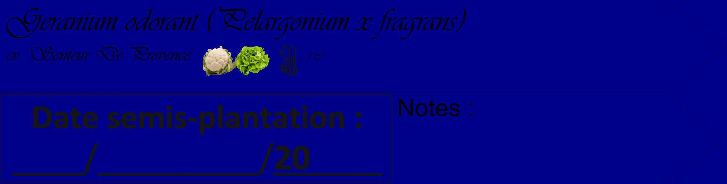 Étiquette de : Pelargonium x fragrans cv. 'Senteur De Provence' - format c - style noire7_simple_simpleviv avec comestibilité simplifiée