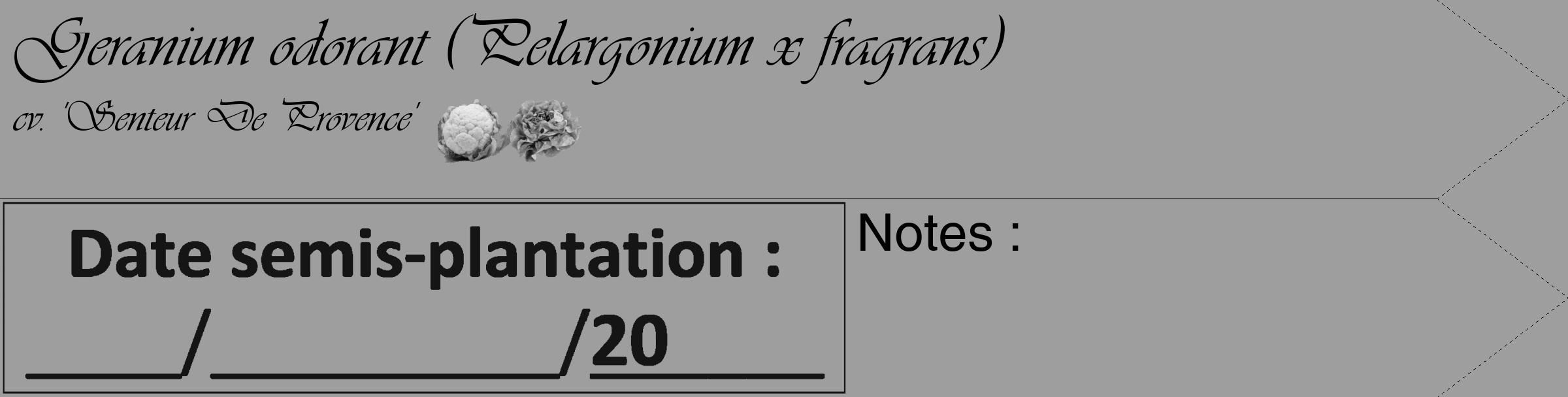 Étiquette de : Pelargonium x fragrans cv. 'Senteur De Provence' - format c - style noire42_simple_simpleviv avec comestibilité simplifiée