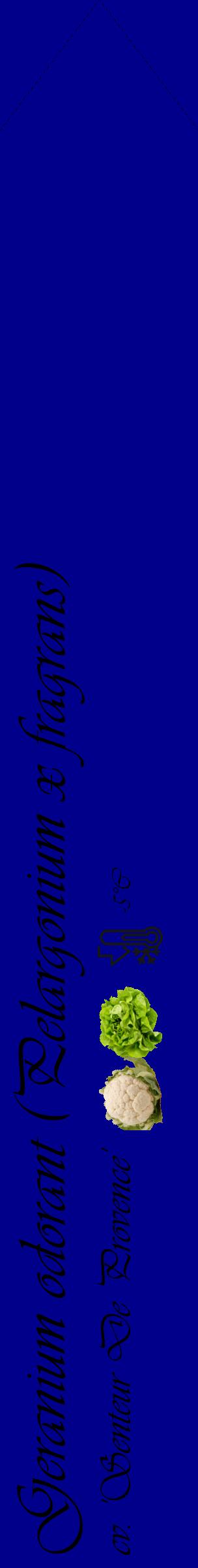 Étiquette de : Pelargonium x fragrans cv. 'Senteur De Provence' - format c - style noire7_simple_simpleviv avec comestibilité simplifiée - position verticale
