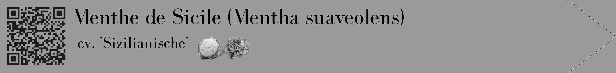 Étiquette de : Mentha suaveolens cv. 'Sizilianische' - format c - style noire52_simple_simplebod avec qrcode et comestibilité simplifiée