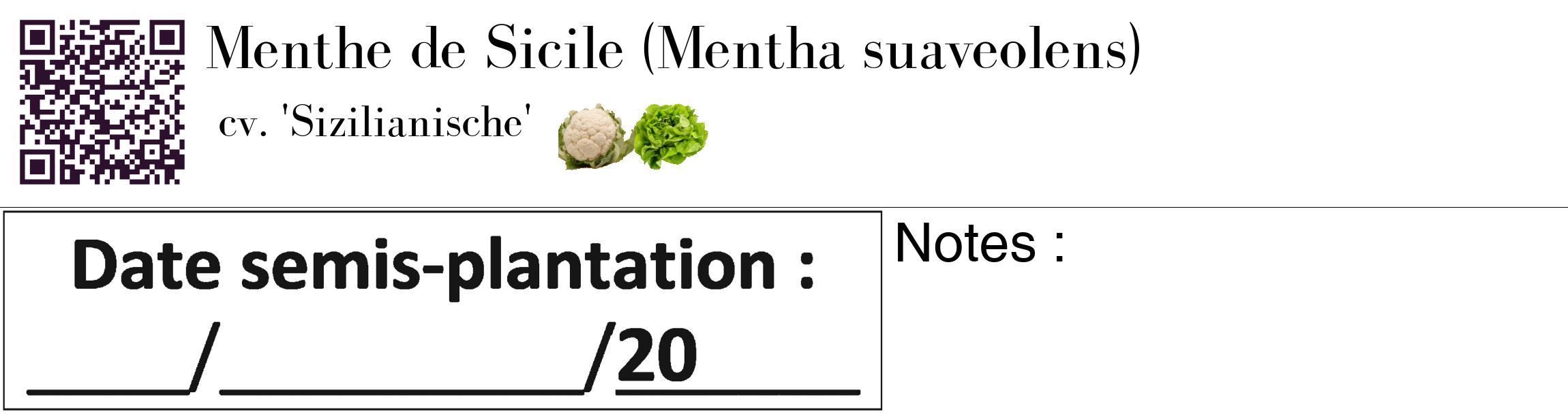 Étiquette de : Mentha suaveolens cv. 'Sizilianische' - format c - style noire60_basique_basiquebod avec qrcode et comestibilité simplifiée