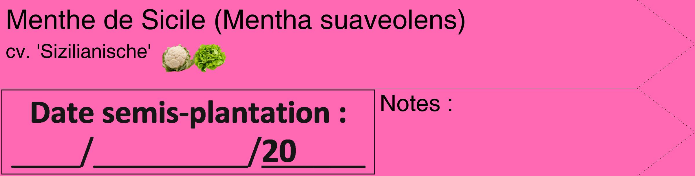 Étiquette de : Mentha suaveolens cv. 'Sizilianische' - format c - style noire42_simple_simplehel avec comestibilité simplifiée