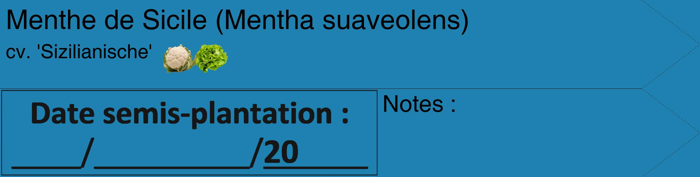 Étiquette de : Mentha suaveolens cv. 'Sizilianische' - format c - style noire6_simple_simplehel avec comestibilité simplifiée
