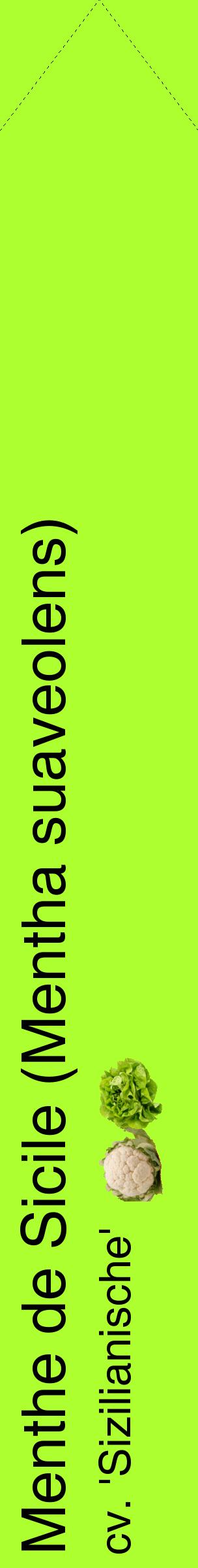 Étiquette de : Mentha suaveolens cv. 'Sizilianische' - format c - style noire17_simplehel avec comestibilité simplifiée