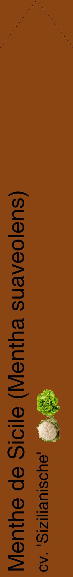 Étiquette de : Mentha suaveolens cv. 'Sizilianische' - format c - style noire30_simplehel avec comestibilité simplifiée