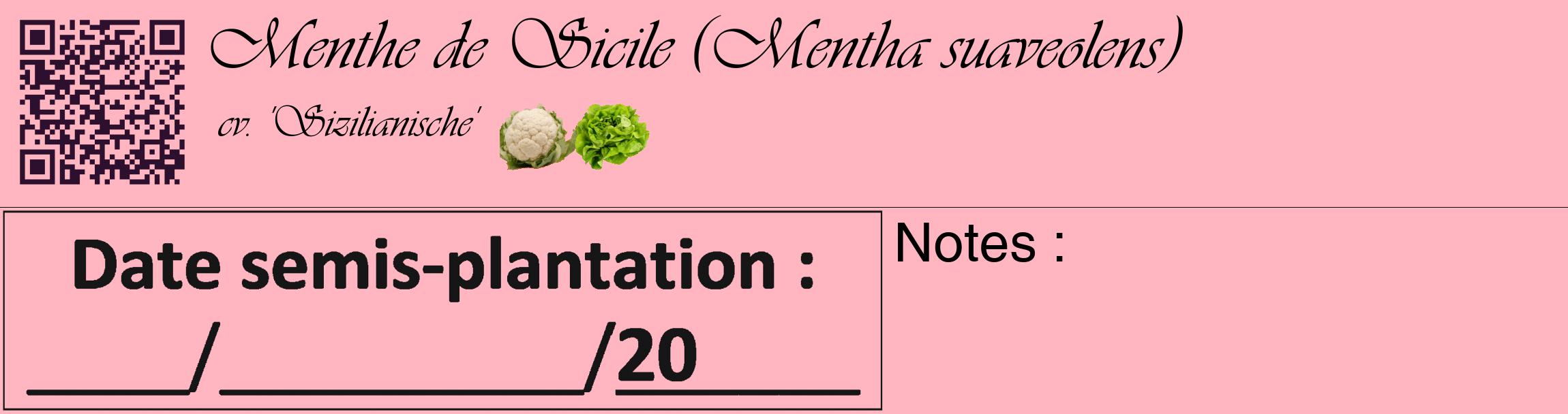 Étiquette de : Mentha suaveolens cv. 'Sizilianische' - format c - style noire41_basique_basiqueviv avec qrcode et comestibilité simplifiée