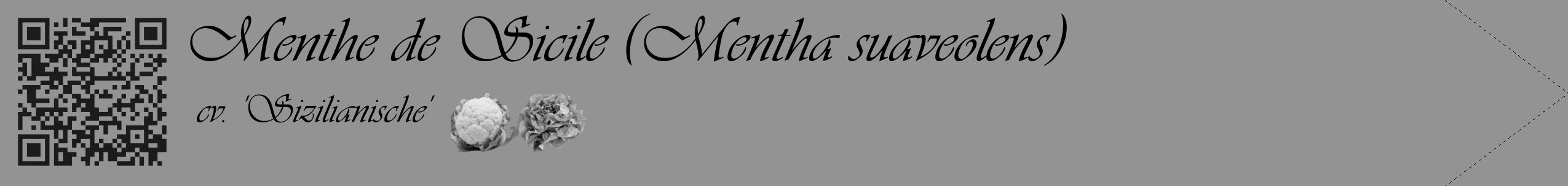 Étiquette de : Mentha suaveolens cv. 'Sizilianische' - format c - style noire44_simple_simpleviv avec qrcode et comestibilité simplifiée