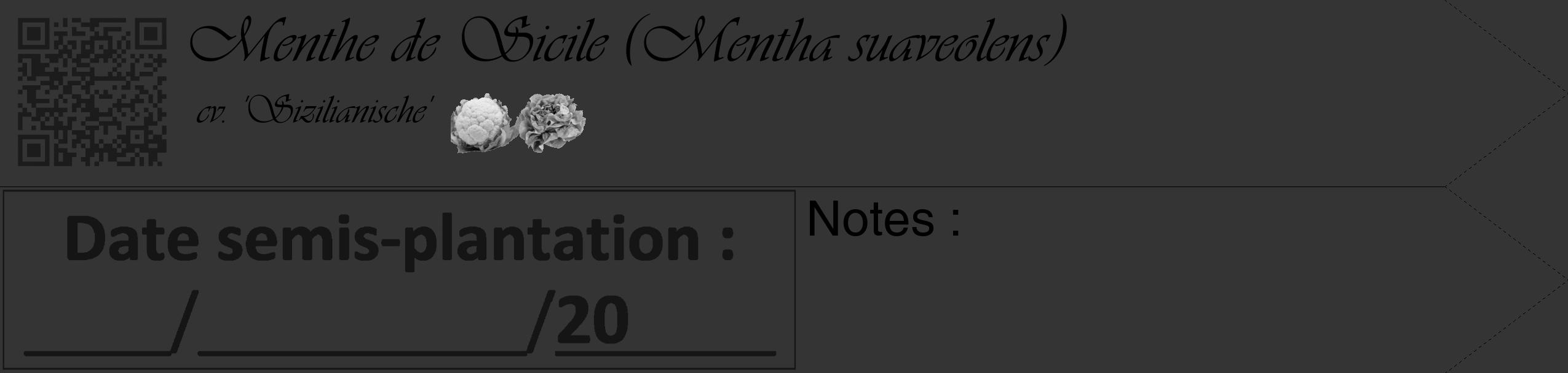 Étiquette de : Mentha suaveolens cv. 'Sizilianische' - format c - style noire46_simple_simpleviv avec qrcode et comestibilité simplifiée
