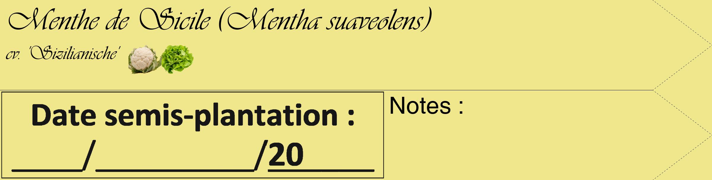 Étiquette de : Mentha suaveolens cv. 'Sizilianische' - format c - style noire20_simple_simpleviv avec comestibilité simplifiée
