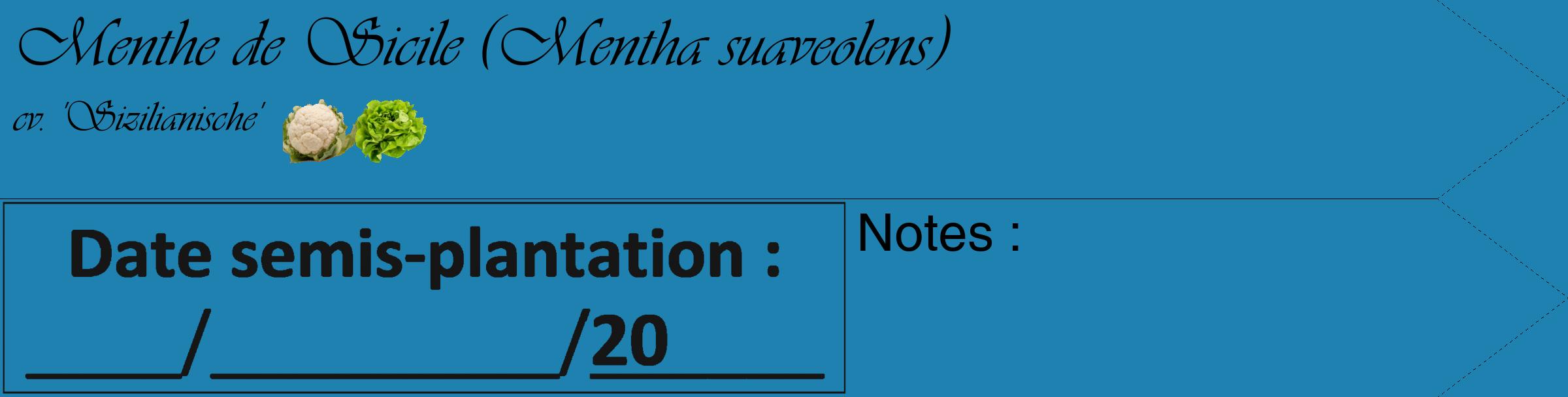 Étiquette de : Mentha suaveolens cv. 'Sizilianische' - format c - style noire6_simple_simpleviv avec comestibilité simplifiée