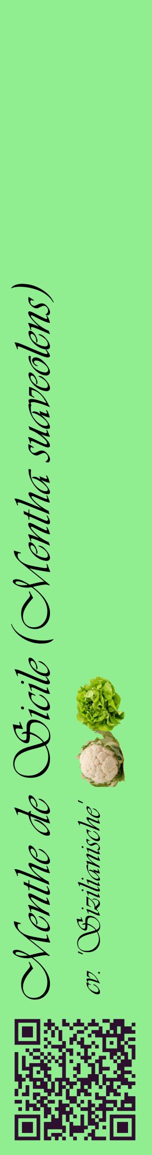 Étiquette de : Mentha suaveolens cv. 'Sizilianische' - format c - style noire15_basiqueviv avec qrcode et comestibilité simplifiée