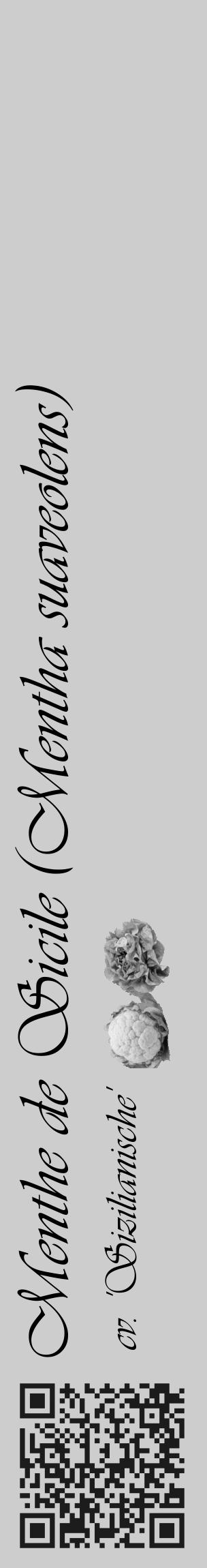Étiquette de : Mentha suaveolens cv. 'Sizilianische' - format c - style noire41_basique_basiqueviv avec qrcode et comestibilité simplifiée - position verticale