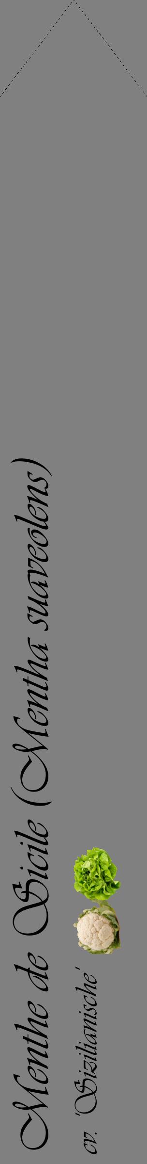 Étiquette de : Mentha suaveolens cv. 'Sizilianische' - format c - style noire57_simpleviv avec comestibilité simplifiée
