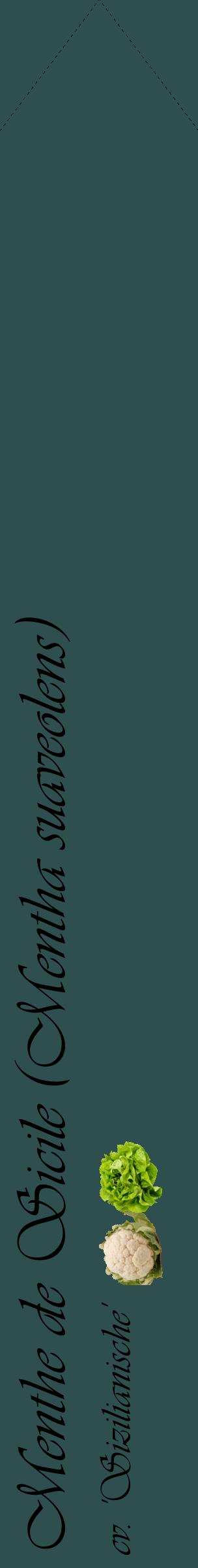 Étiquette de : Mentha suaveolens cv. 'Sizilianische' - format c - style noire58_simpleviv avec comestibilité simplifiée