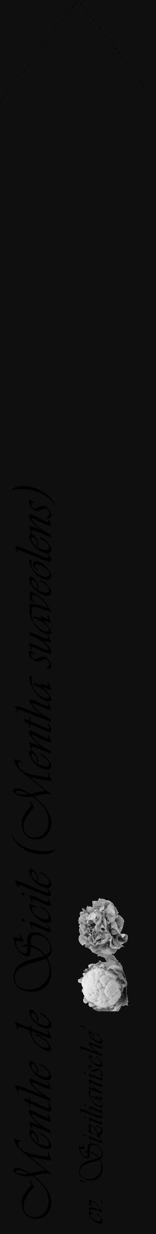 Étiquette de : Mentha suaveolens cv. 'Sizilianische' - format c - style noire7_simple_simpleviv avec comestibilité simplifiée - position verticale