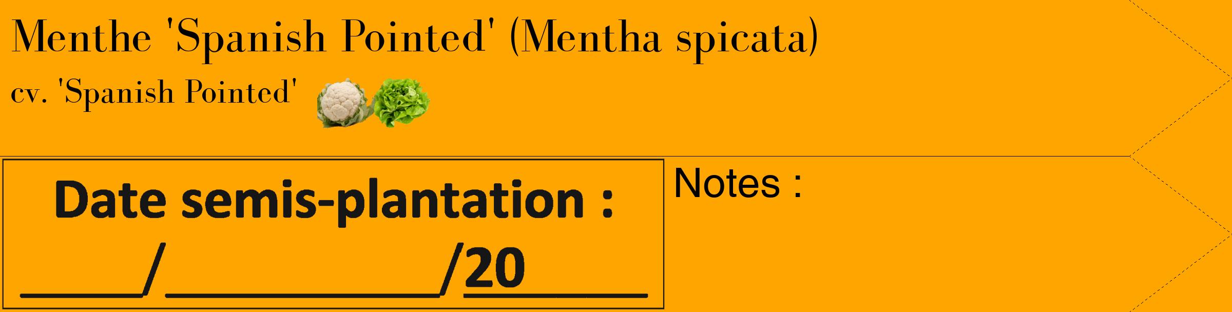 Étiquette de : Mentha spicata cv. 'Spanish Pointed' - format c - style noire22simple_simple_simplebod avec comestibilité simplifiée