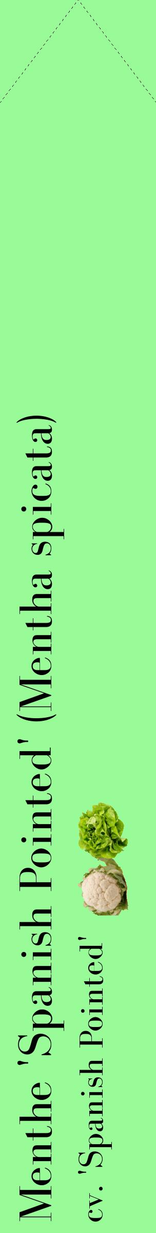 Étiquette de : Mentha spicata cv. 'Spanish Pointed' - format c - style noire14_simplebod avec comestibilité simplifiée