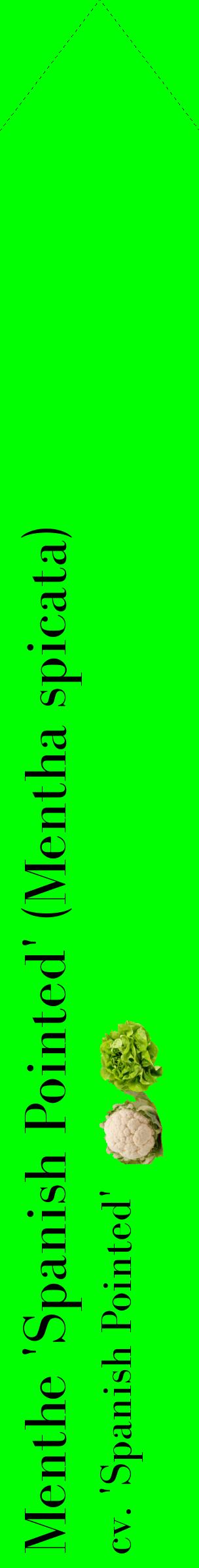 Étiquette de : Mentha spicata cv. 'Spanish Pointed' - format c - style noire16_simplebod avec comestibilité simplifiée