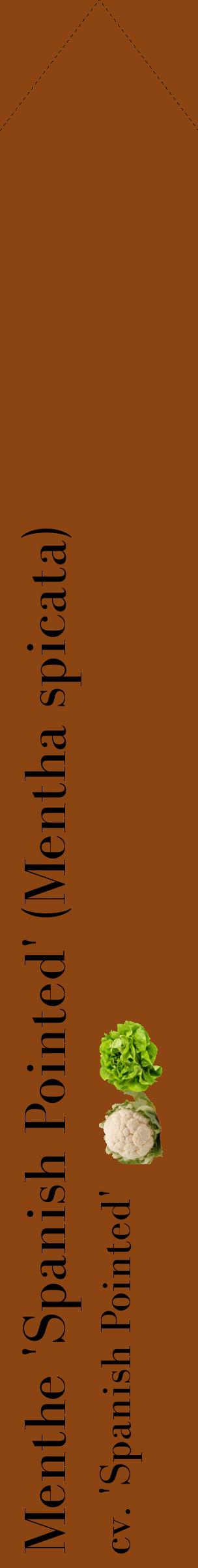 Étiquette de : Mentha spicata cv. 'Spanish Pointed' - format c - style noire30_simplebod avec comestibilité simplifiée