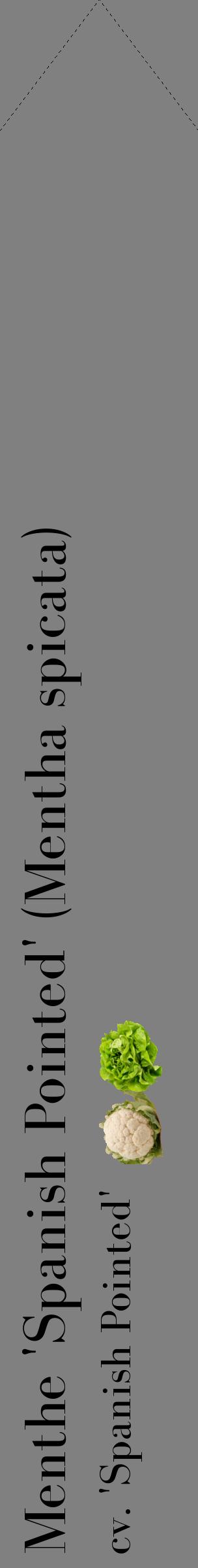 Étiquette de : Mentha spicata cv. 'Spanish Pointed' - format c - style noire57_simplebod avec comestibilité simplifiée