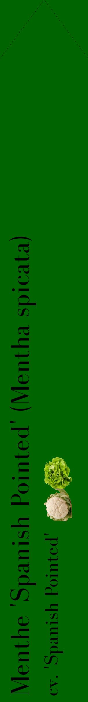 Étiquette de : Mentha spicata cv. 'Spanish Pointed' - format c - style noire8_simplebod avec comestibilité simplifiée