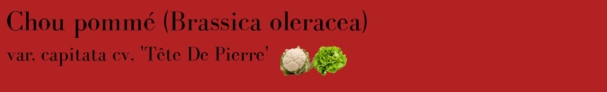 Étiquette de : Brassica oleracea var. capitata cv. 'Tête De Pierre' - format c - style noire28basique_basique_basiquebod avec comestibilité simplifiée