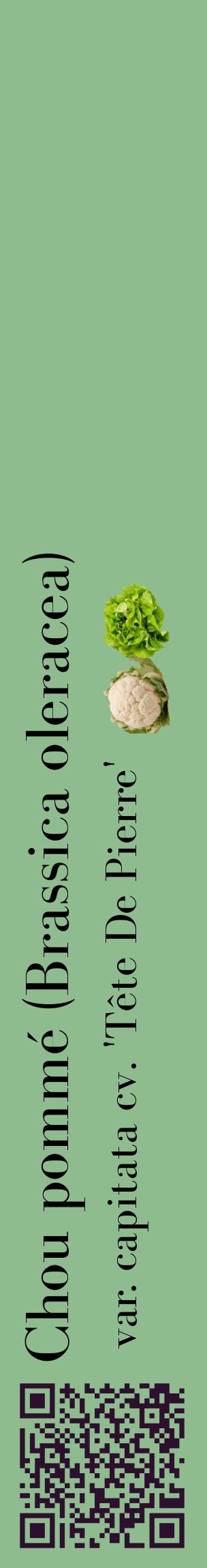Étiquette de : Brassica oleracea var. capitata cv. 'Tête De Pierre' - format c - style noire13_basiquebod avec qrcode et comestibilité simplifiée