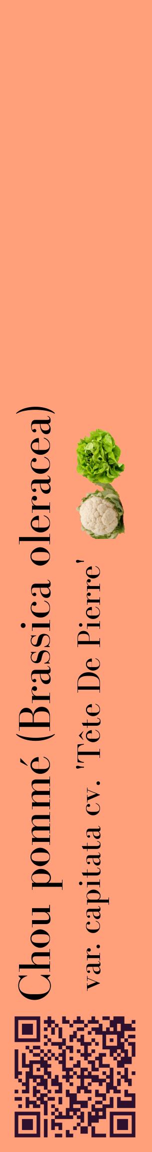 Étiquette de : Brassica oleracea var. capitata cv. 'Tête De Pierre' - format c - style noire39_basiquebod avec qrcode et comestibilité simplifiée