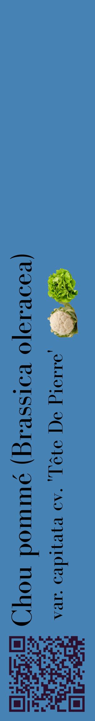 Étiquette de : Brassica oleracea var. capitata cv. 'Tête De Pierre' - format c - style noire5_basiquebod avec qrcode et comestibilité simplifiée