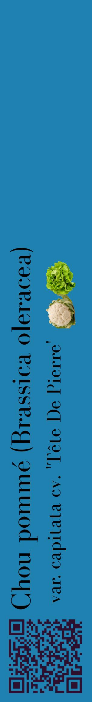 Étiquette de : Brassica oleracea var. capitata cv. 'Tête De Pierre' - format c - style noire6_basiquebod avec qrcode et comestibilité simplifiée