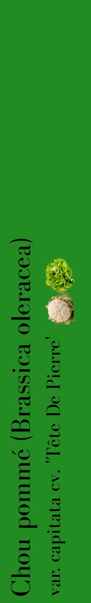 Étiquette de : Brassica oleracea var. capitata cv. 'Tête De Pierre' - format c - style noire10_basiquebod avec comestibilité simplifiée