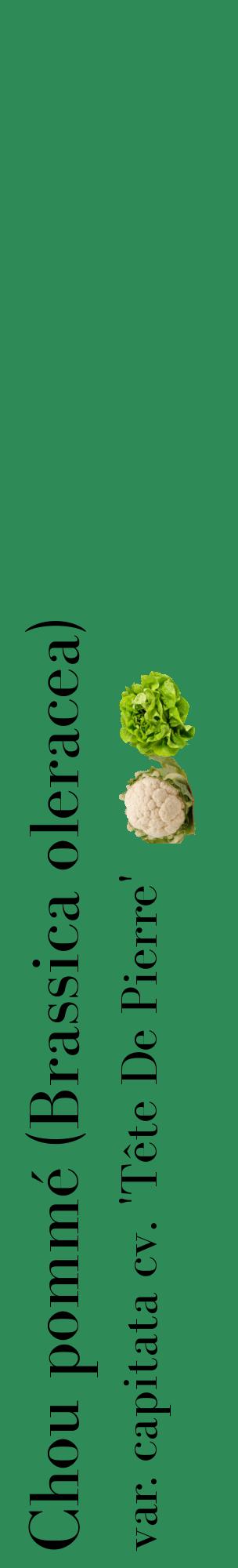 Étiquette de : Brassica oleracea var. capitata cv. 'Tête De Pierre' - format c - style noire11_basiquebod avec comestibilité simplifiée