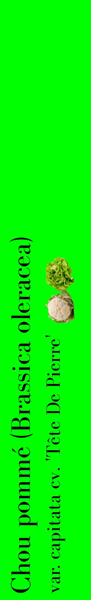 Étiquette de : Brassica oleracea var. capitata cv. 'Tête De Pierre' - format c - style noire16_basiquebod avec comestibilité simplifiée