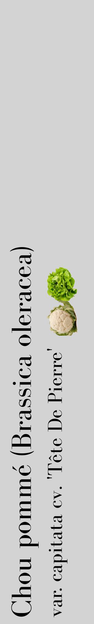 Étiquette de : Brassica oleracea var. capitata cv. 'Tête De Pierre' - format c - style noire56_basiquebod avec comestibilité simplifiée